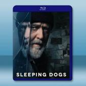 超危險警探/沉睡烈犬 Sleeping Dogs(2024)藍光25G		 