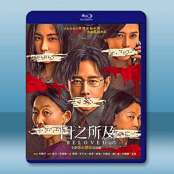 目之所及 (2025)【TV全集+幕後特輯】藍光25G 2碟L		 