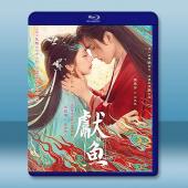 獻魚 (2025)【TV全集+幕後花絮】藍光25G 3碟...