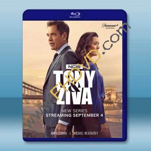 NCIS 海軍罪案調查處：歐洲喋血篇 (2025)藍光25G 2碟L		 